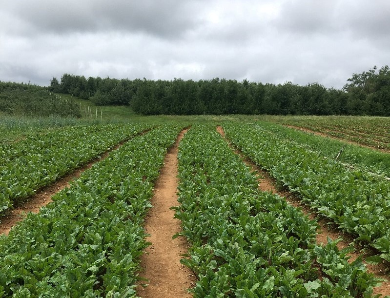 Larriland Farm